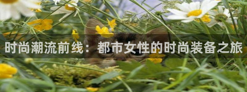 乐发III平台怎么样