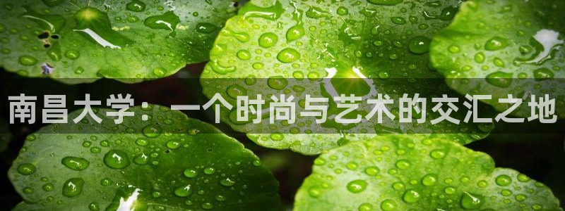 乐发乐发平台邀请码