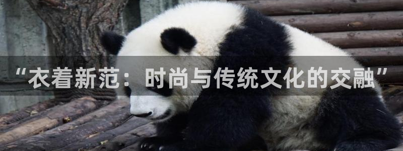 乐发平台出来的时间