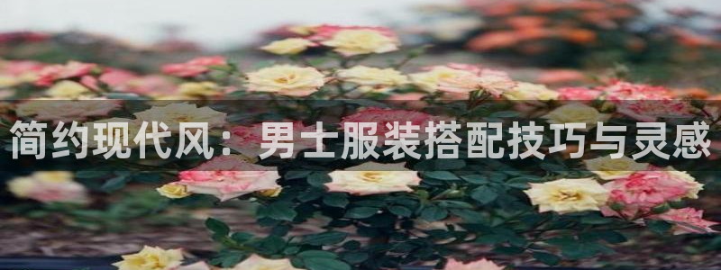 乐发平台怎么换邀请码呢