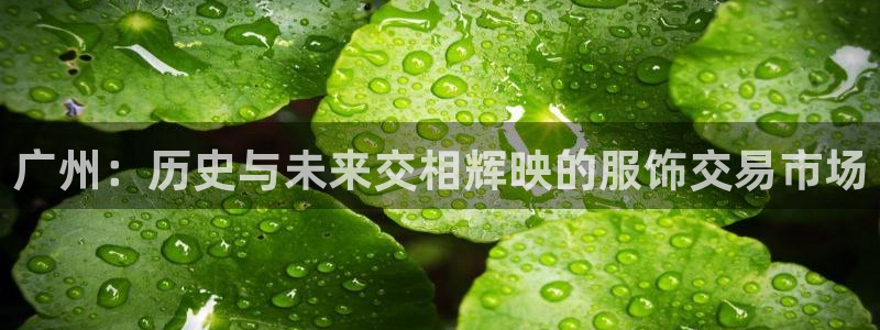 乐发app下载平台官网