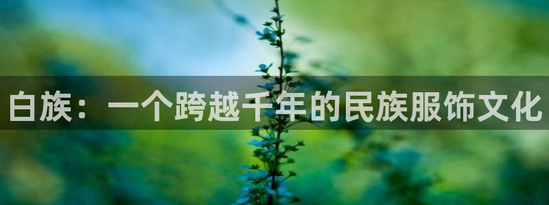 乐发平台手机版下载