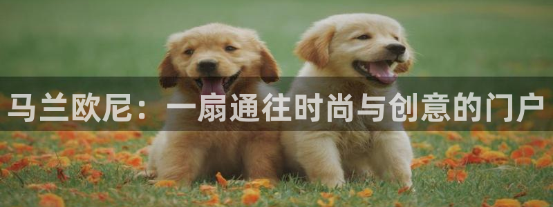 乐发平台赚钱技巧