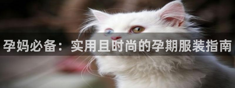 乐发官网平台