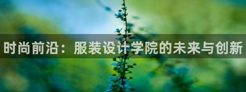 乐发彩票平台后方