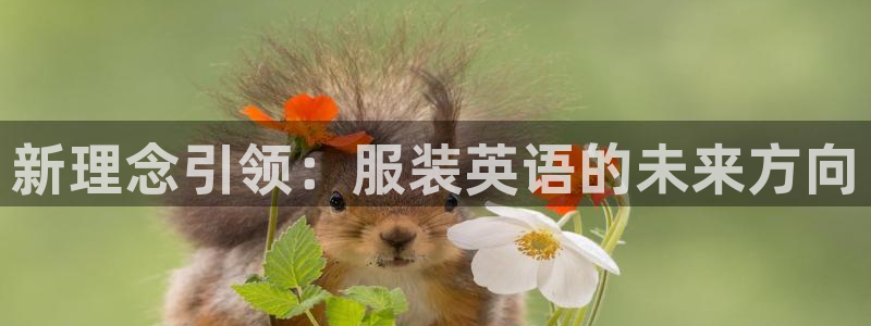 乐发IV_平台