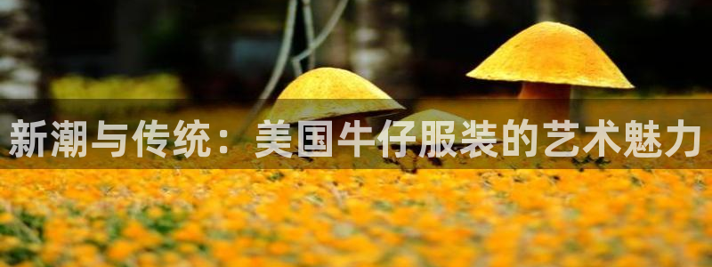 乐发彩票是正规平台吗