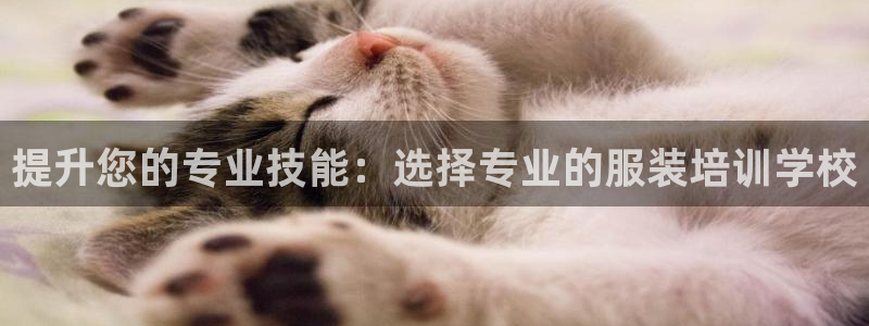 乐卡发平台