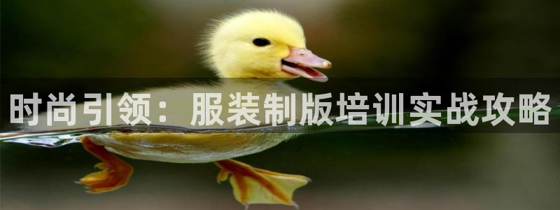 万发大平台乐透