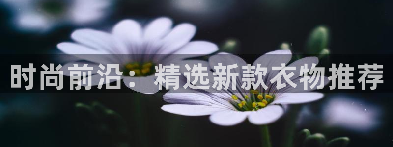 乐发是正规大平台吗