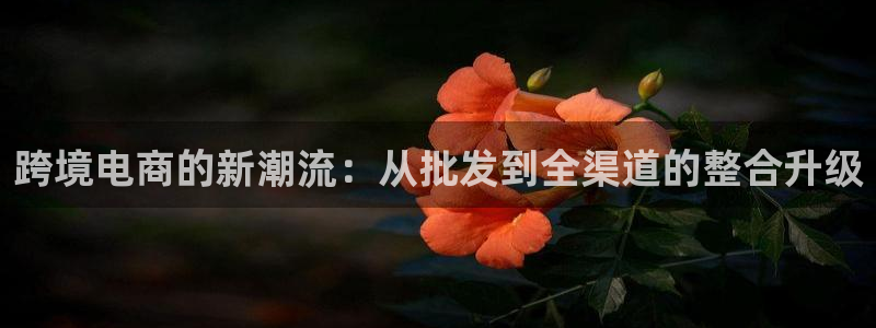 乐发彩票平台网址是多少