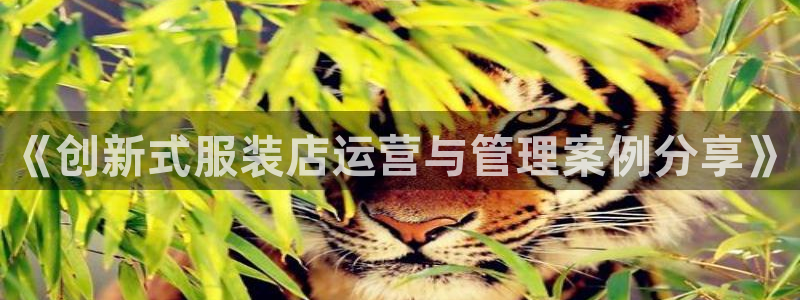乐发111彩票平台下载