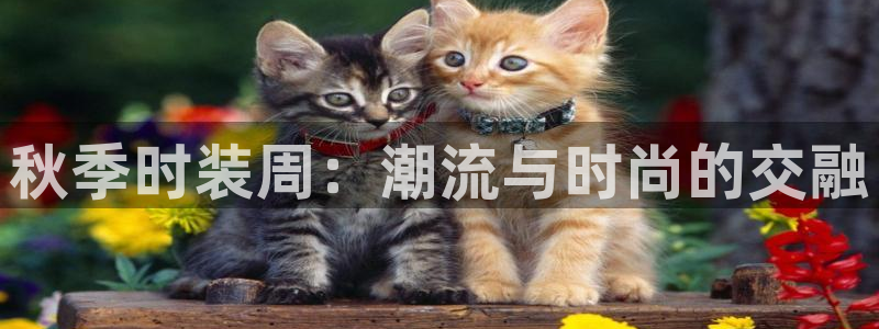 乐发平台网址是多少