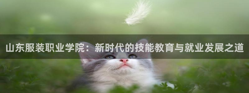 乐发彩票娱乐平台