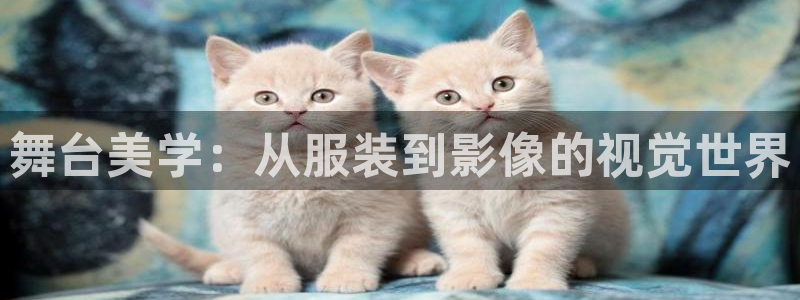 乐发彩票平台下载安装