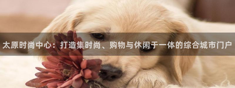乐豪发平台在线