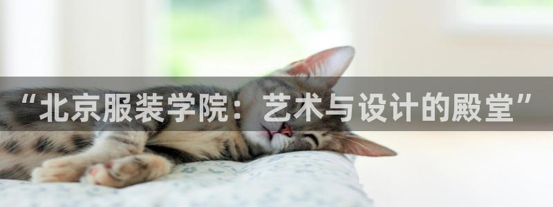 乐发彩票平台入口官网
