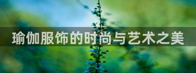 乐发平台怎么样知乎