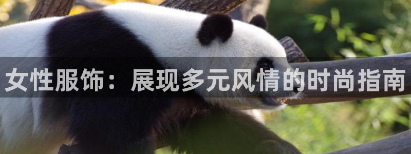 乐发旗下的老平台邀请码