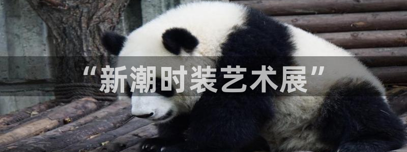 乐发彩票平台正规不