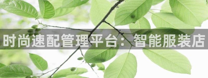 乐发大小平台