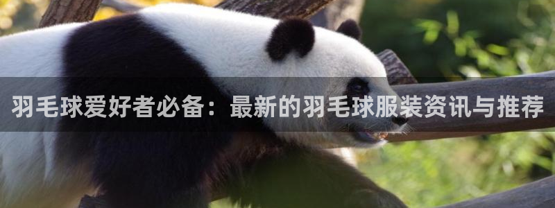 乐发国际平台