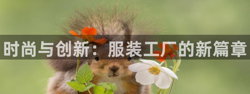 乐发彩票平台入口在哪