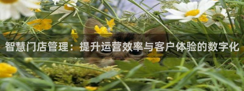 乐发稳平台邀请码