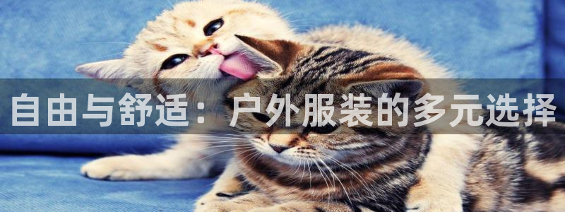 乐发lv官方平台