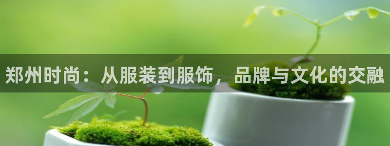 乐发彩票直播平台官网