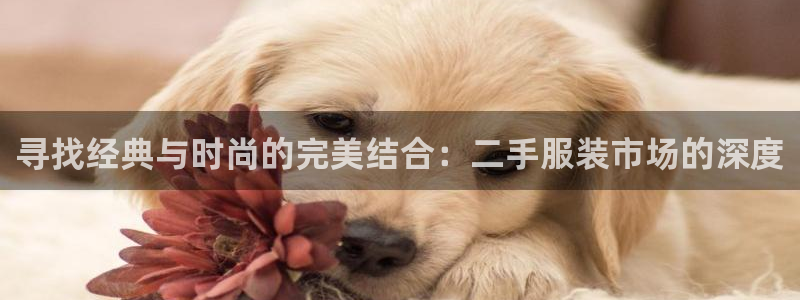 玖发娱乐平台刮刮乐