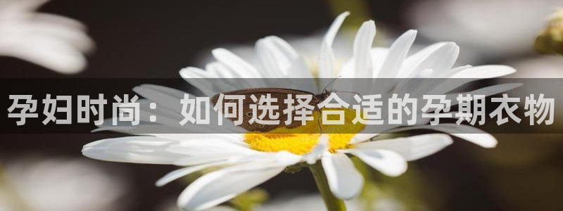 乐发平台注册流程