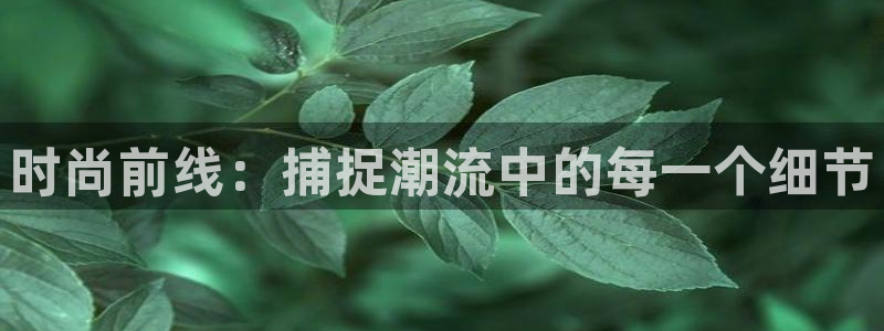 乐发平台注册地址怎么填