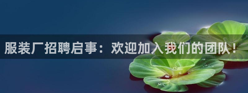 乐发旗下的平台有多少个