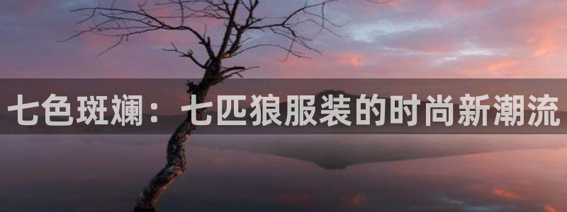 乐发VIII平台免费版