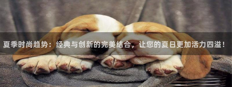 乐发传媒是正规平台吗