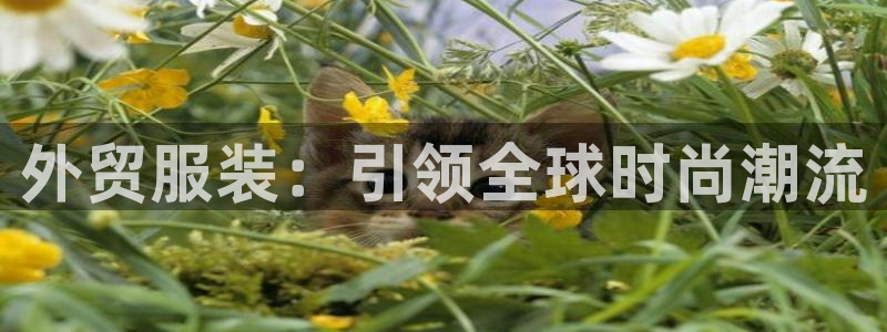 乐发app下载平台安装