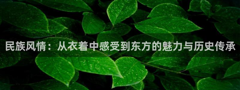 乐发是正规大平台吗