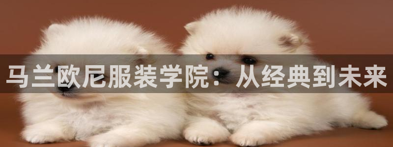 乐发彩票直播平台