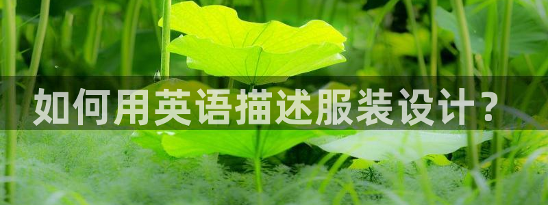 乐发平台下载安装最新版