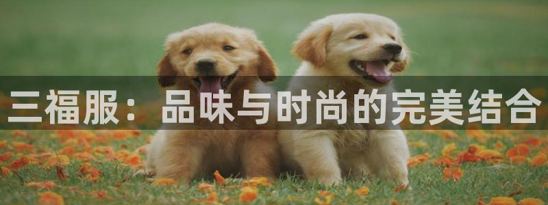 乐发乐发平台邀请码：三福服：品味与时尚的